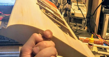 Photo of me holding a wing by the root